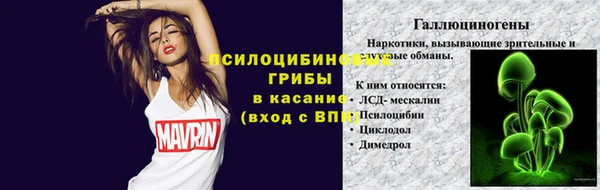прущие крисы Осинники