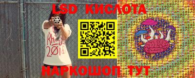 дживик Гай