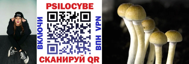 ссылка на мегу ONION  наркошоп  Серов  Псилоцибиновые грибы Psilocybe 