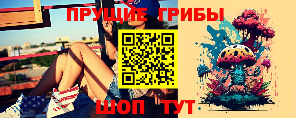 Галлюциногенные грибы Cubensis Серов