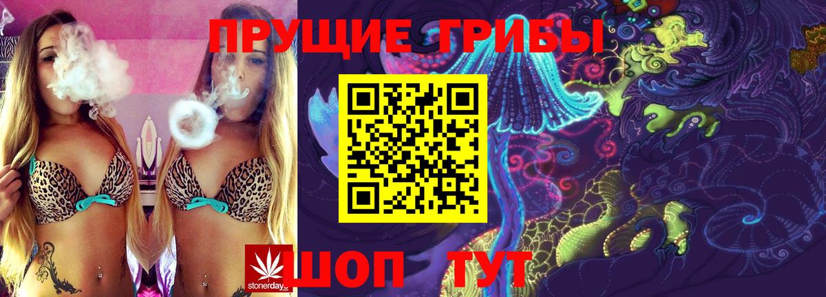 Псилоцибиновые грибы прущие грибы  Вход с VPN  Серов 