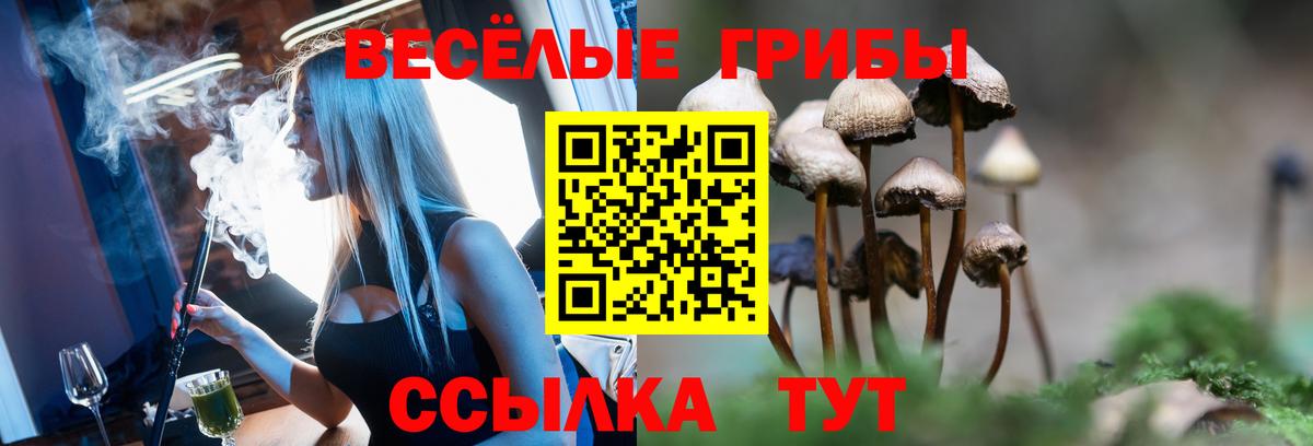 Галлюциногенные грибы мицелий Серов