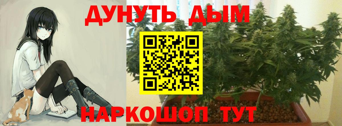 Бошки марихуана конопля Серов